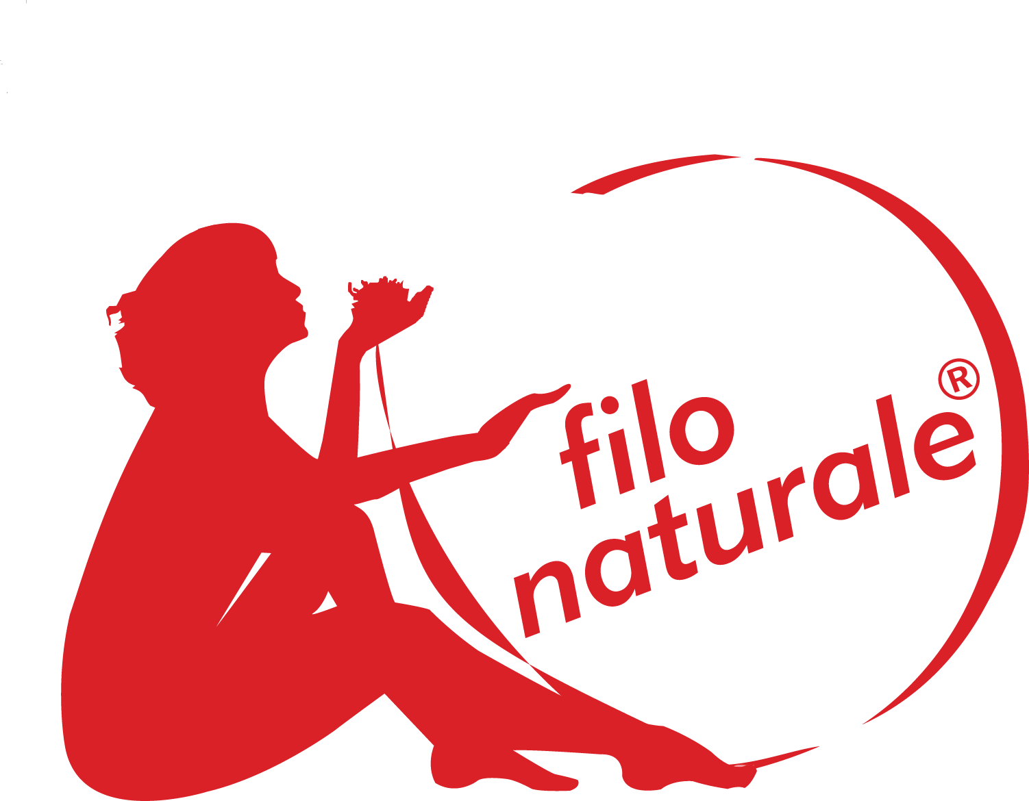 Logo Tasarımı  Filo Logo