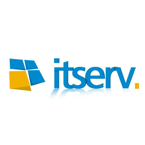Logo Tasarımı  ITserv server
