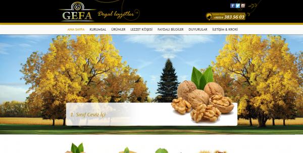 Gefa Gıda Web Tasarım